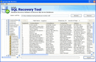 SQL Server Database Recovery screenshot